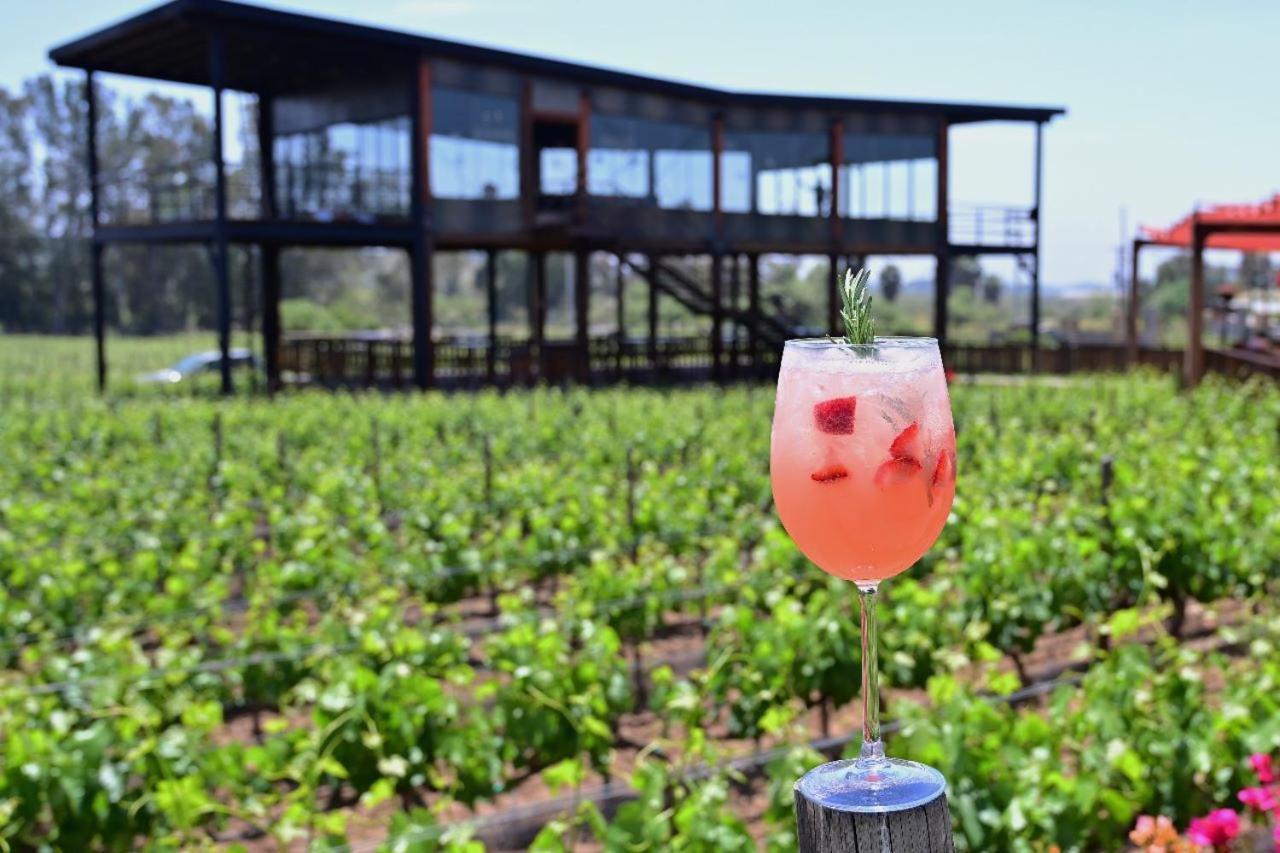 Don Tomas Vinedo Cabanas Valle de Guadalupe Dış mekan fotoğraf