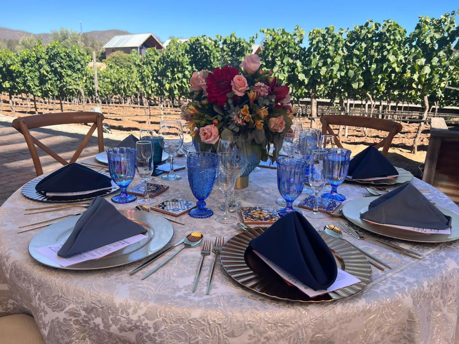 Don Tomas Vinedo Cabanas Valle de Guadalupe Dış mekan fotoğraf