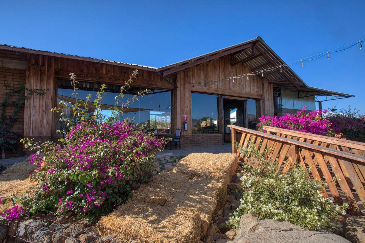 Don Tomas Vinedo Cabanas Valle de Guadalupe Dış mekan fotoğraf