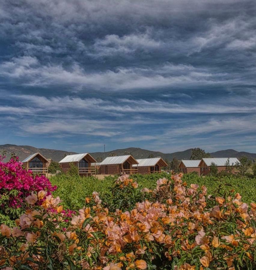 Don Tomas Vinedo Cabanas Valle de Guadalupe Dış mekan fotoğraf